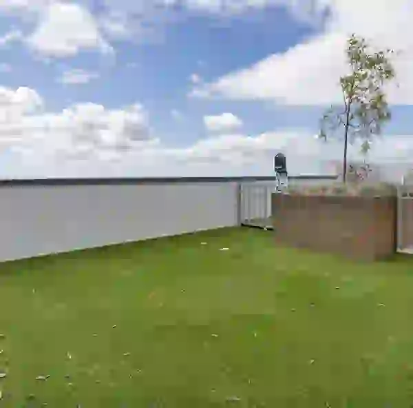 Rooftop Dog Park