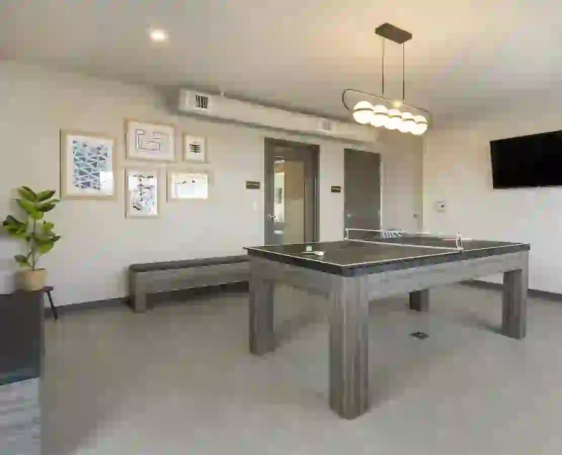 Game Zone with Table Tennis
