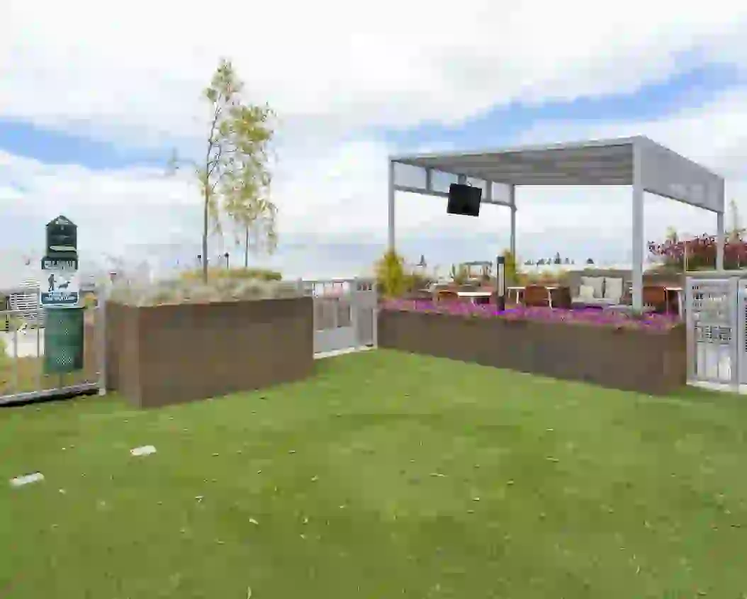 Rooftop Dog Park at Identity Logan Park